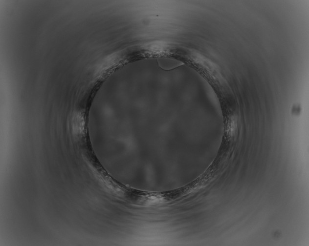 X0000096970715200803071006