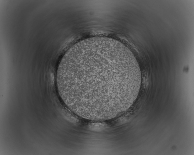 X0000096970716200803071006