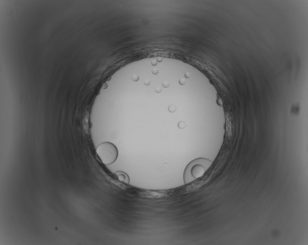 X0000096970718200803071006