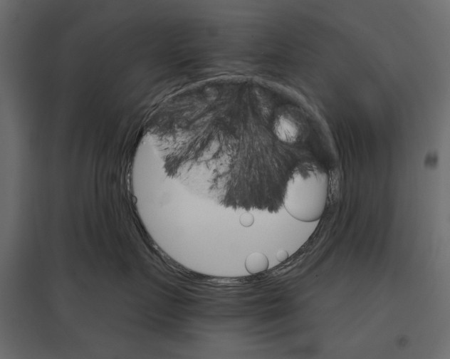 X0000096970719200803071006