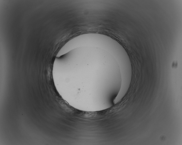 X0000096970720200803071006