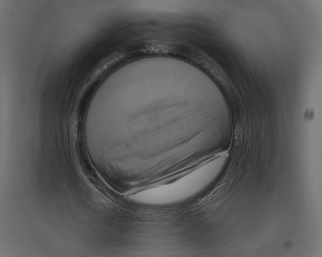 X0000096970722200803071005