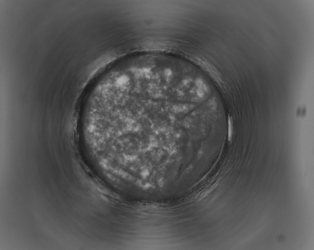 X0000096970723200803071005