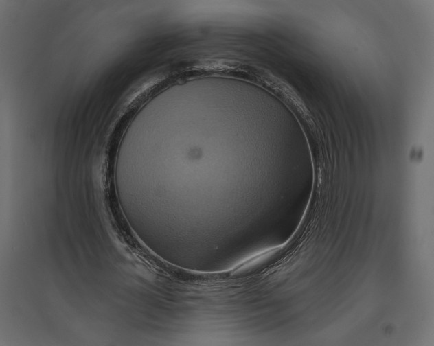 X0000096970724200803071005