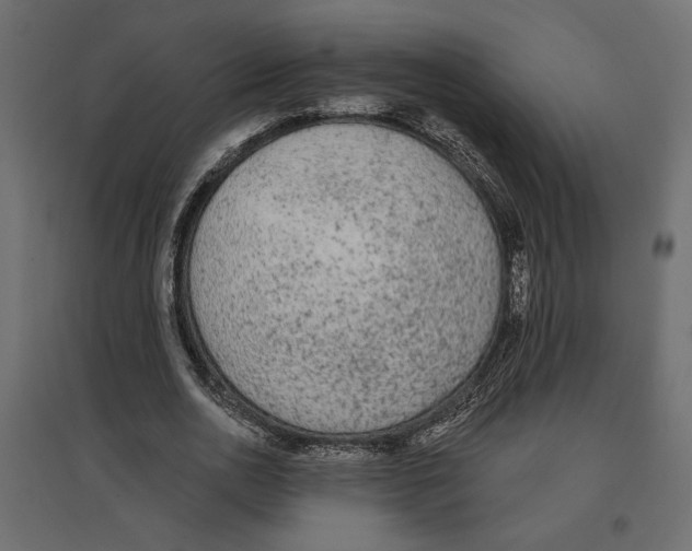 X0000096970726200803071005