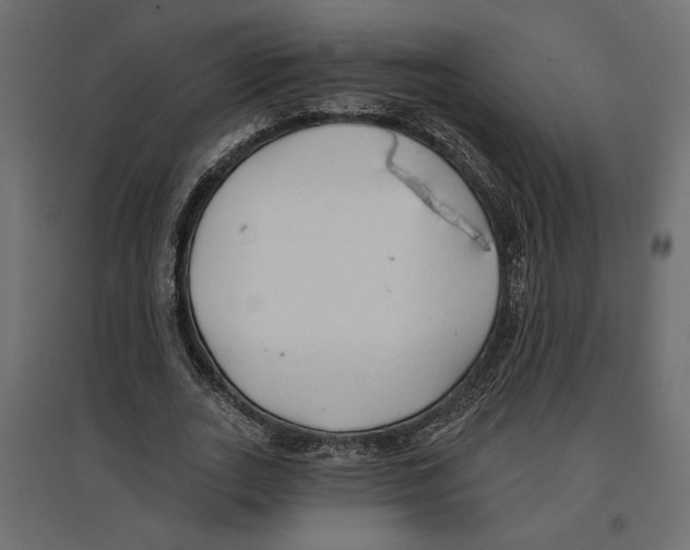 X0000096970727200803071005