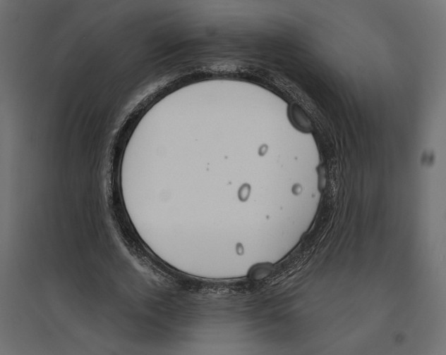 X0000096970728200803071005
