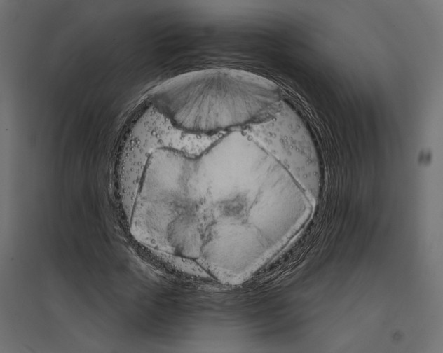 X0000096970729200803071005