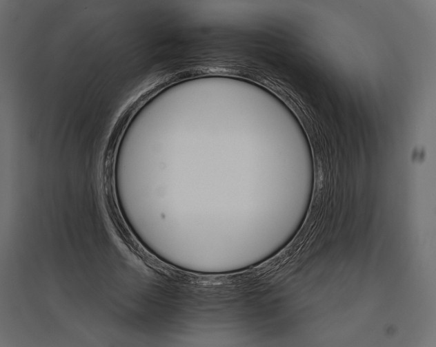 X0000096970730200803071005