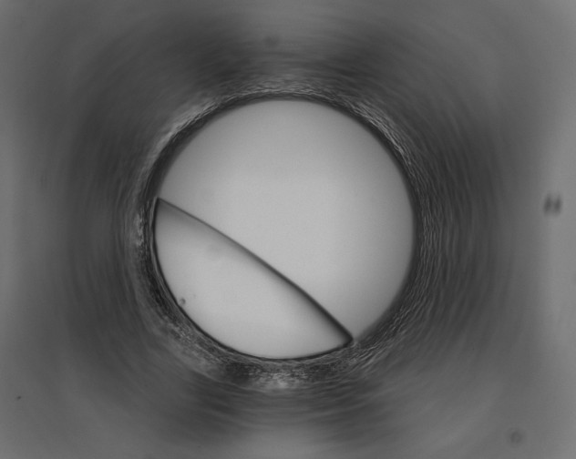 X0000096970731200803071005
