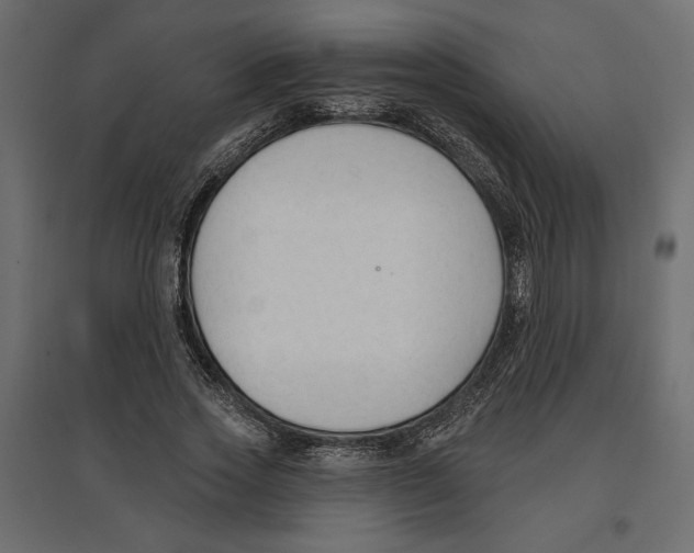 X0000096970733200803071005
