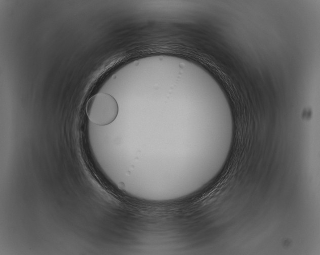 X0000096970734200803071005