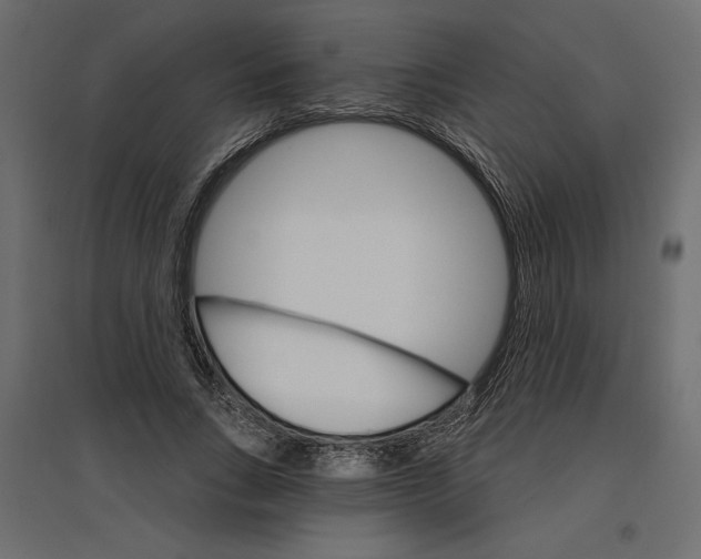X0000096970735200803071005