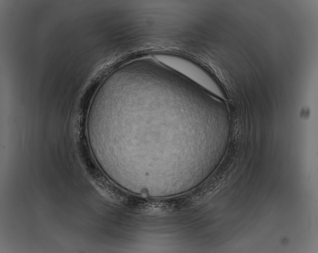 X0000096970736200803071005