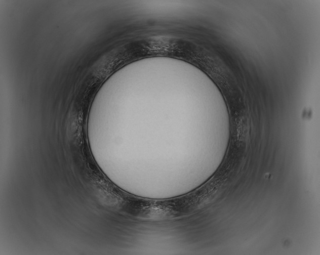 X0000096970737200803071005