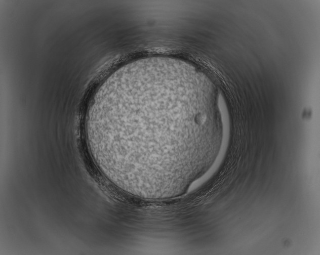 X0000096970738200803071005