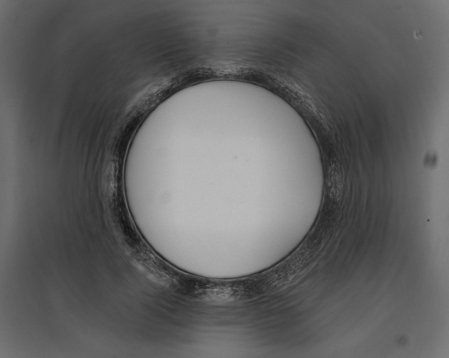 X0000096970740200803071005