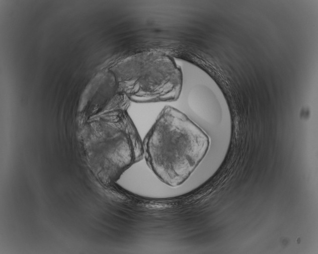 X0000096970741200803071005