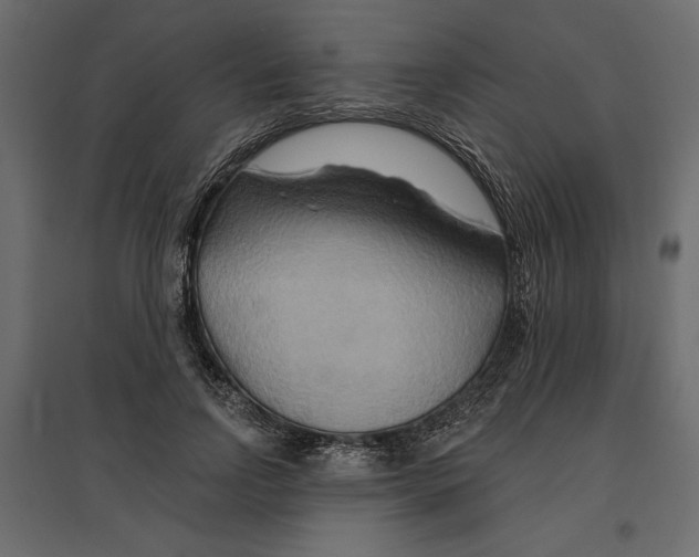 X0000096970742200803071005
