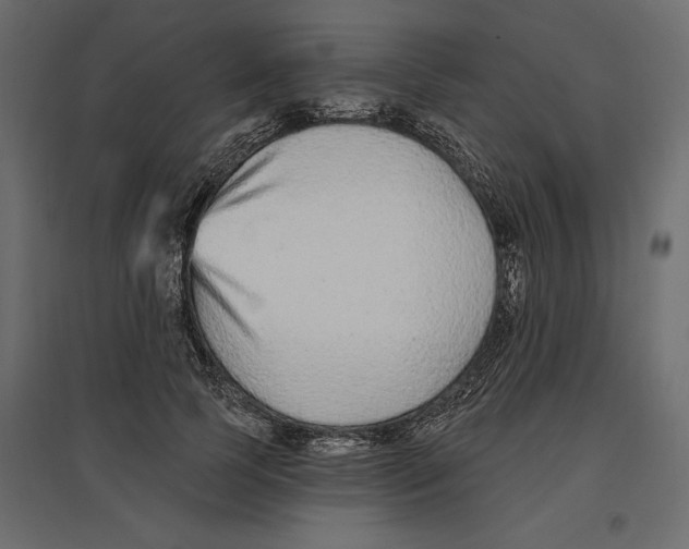 X0000096970745200803071005