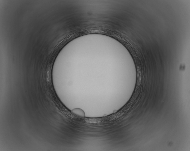 X0000096970746200803071005