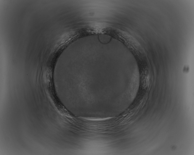 X0000096970747200803071005
