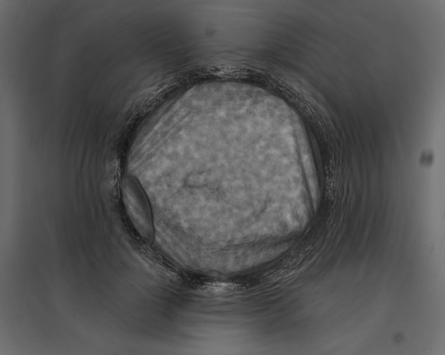 X0000096970748200803071005