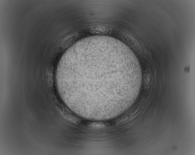 X0000096970749200803071005