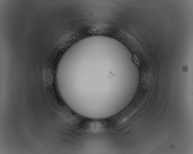 X0000096970751200803071006