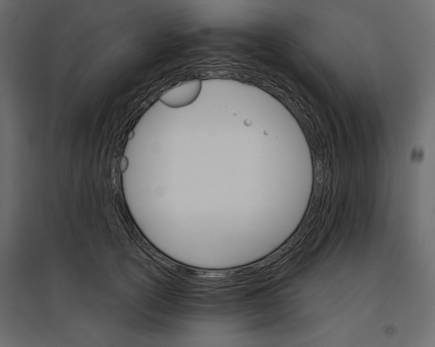 X0000096970754200803071006