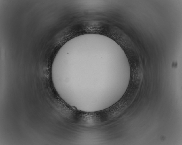 X0000096970755200803071006
