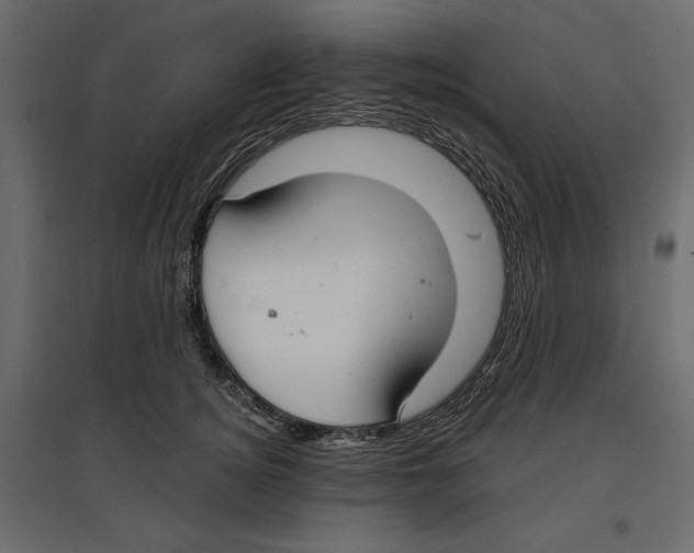 X0000096970756200803071006