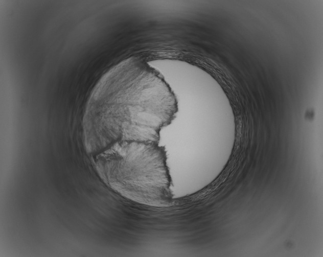 X0000096970757200803071006