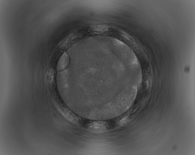 X0000096970758200803071006