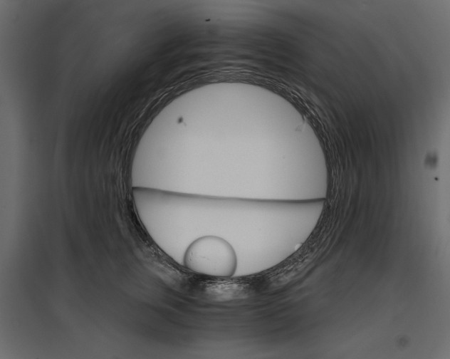 X0000096970759200803071006