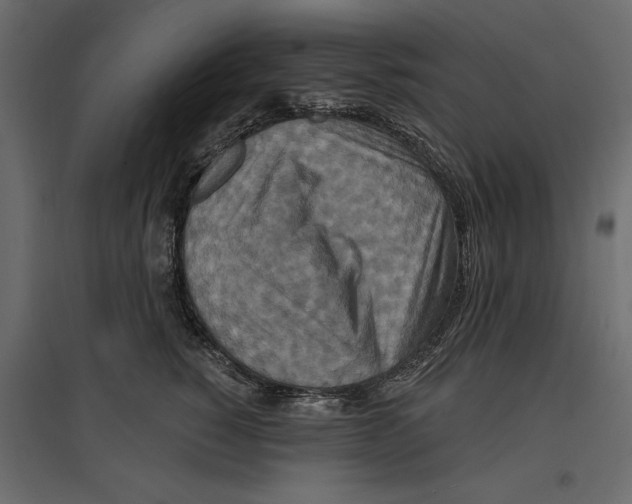 X0000096970760200803071006