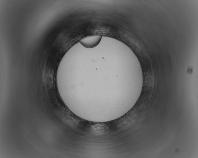 X0000096970761200803071006