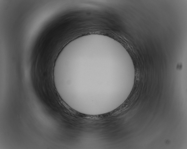 X0000096970763200803071006