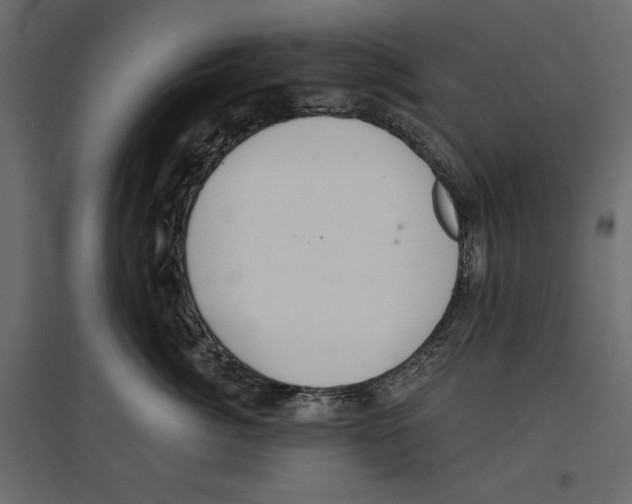 X0000096970764200803071006