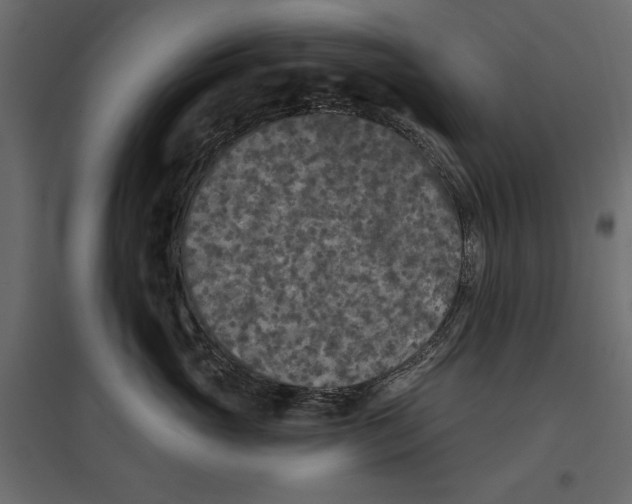 X0000096970765200803071006
