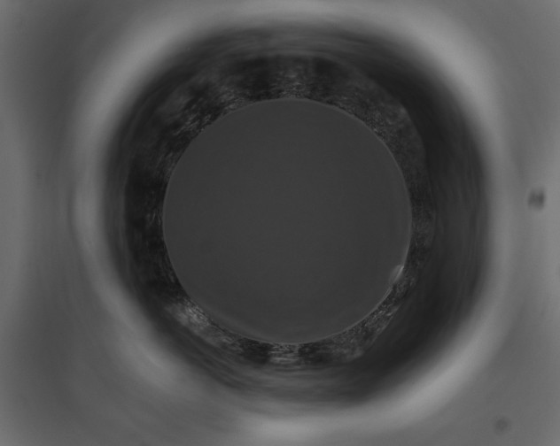X0000096970766200803071006