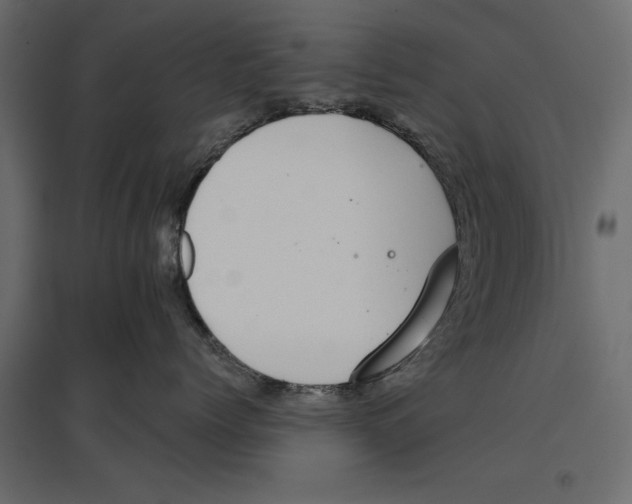 X0000096970768200803071006