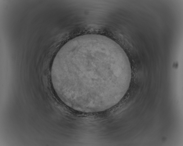X0000096970769200803071005