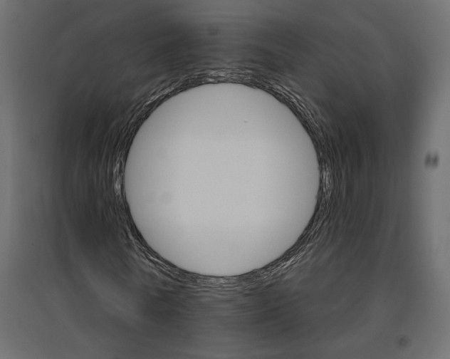 X0000096970770200803071005