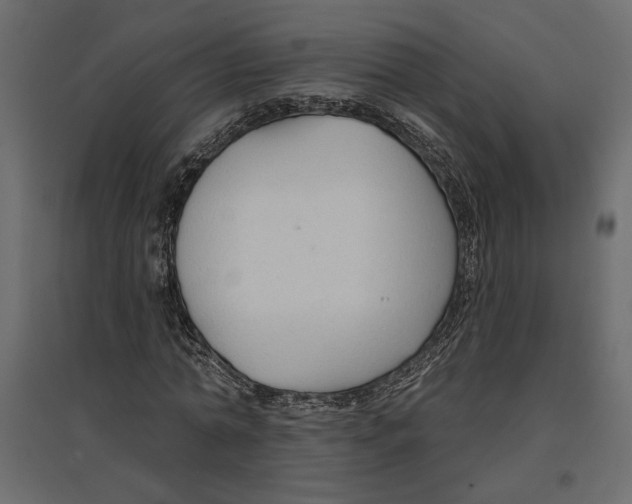 X0000096970774200803071005