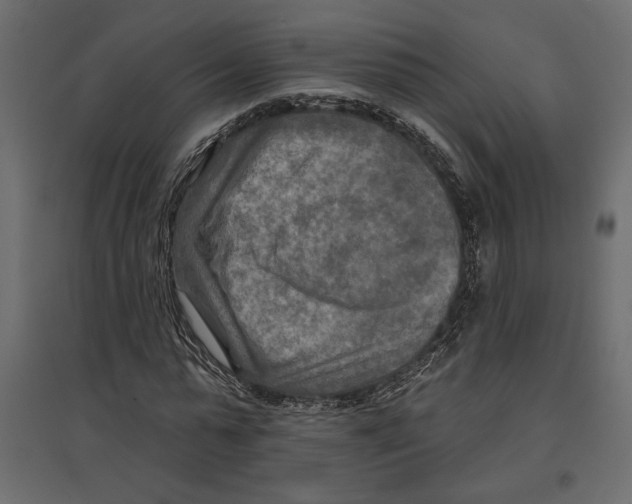 X0000096970775200803071005