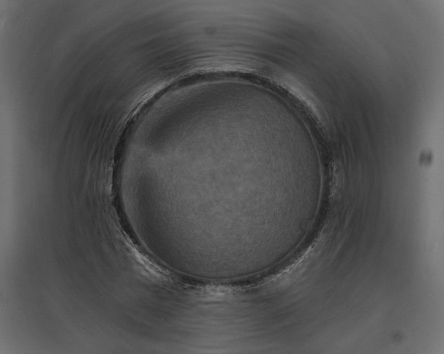 X0000096970777200803071005