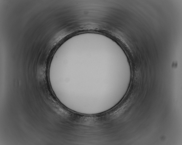 X0000096970778200803071005