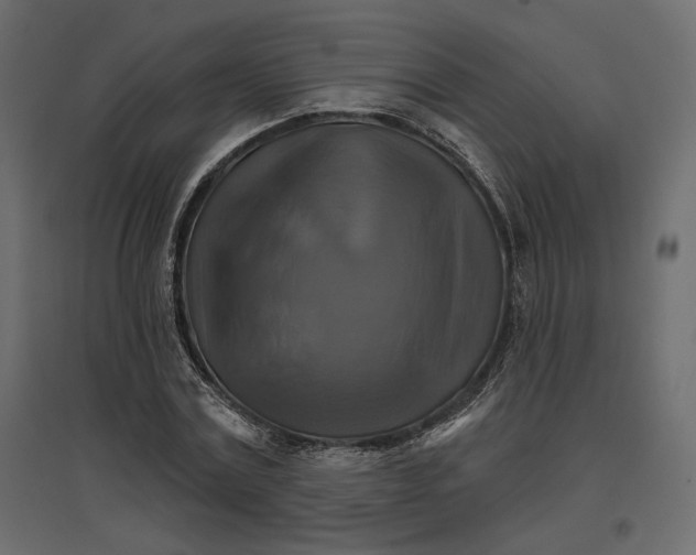 X0000096970779200803071005