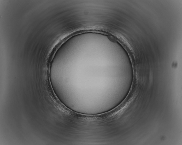 X0000096970781200803071005